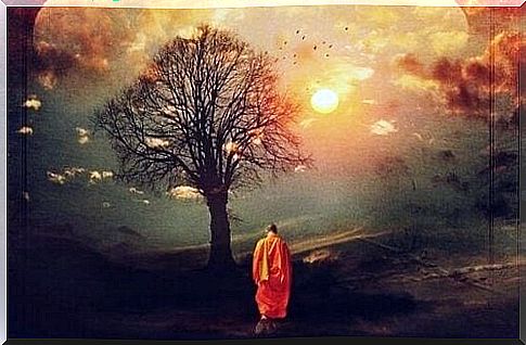 buddhist in front of a tree