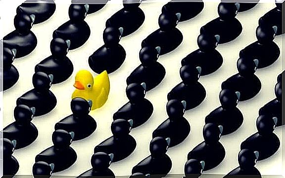 A yellow duck that fails to fit into a group of black ducks