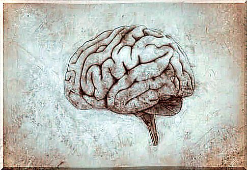 A sketch of the brain