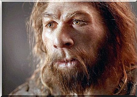 The brain of Neanderthals