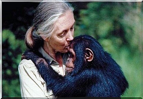 5 Jane Goodall Quotes That Will Make You Think