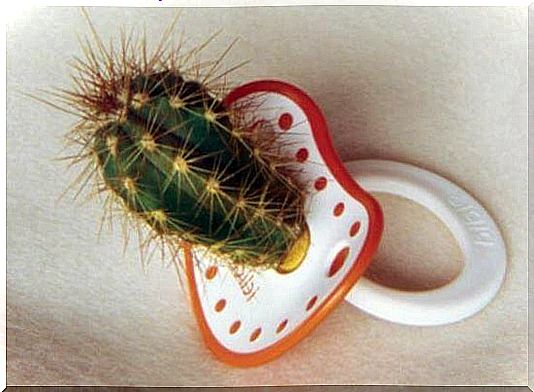 chupete-con-forma-de-cactus