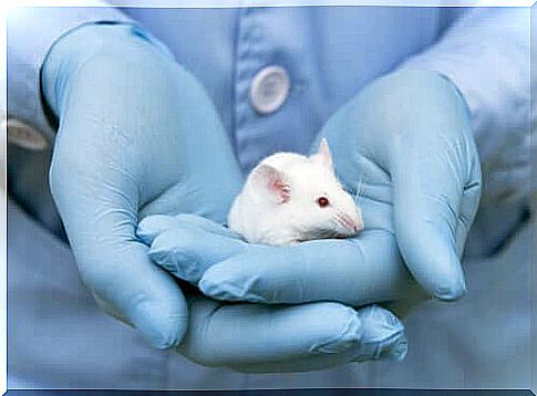 A researcher holding a rat in his hand